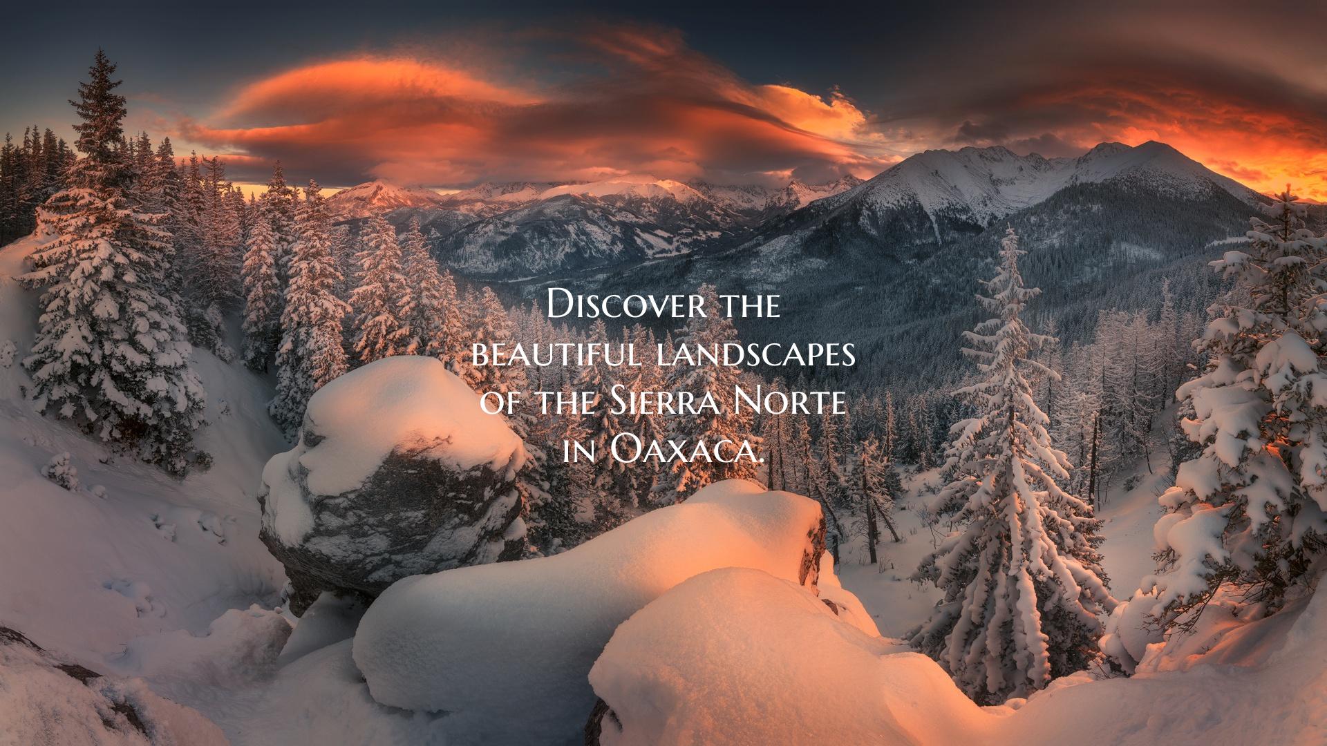 Discover the beautiful landscapes of the Sierra No...
